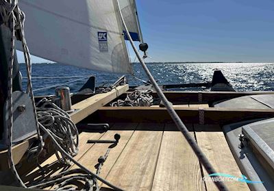 Wharram Pahi 31 Multihull boten 1983, met Yamaha FT 9,9 Gmhx motor, Duitsland