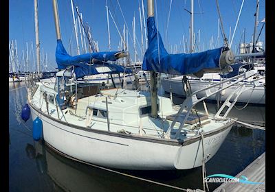 Camper & Nicholson 38 Sailing boat 1970, with Yanmar engine, The Netherlands