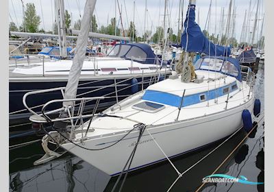 Carter 30  Sailing boat 1986, with Volvo Penta<br />2002 S engine, The Netherlands
