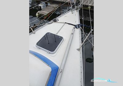 Carter 30 Sailing boat 1986, with Volvo Penta<br />2002 S engine, The Netherlands