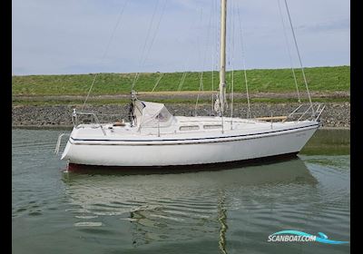 Contest 30 Sailing boat 1977, with Yanmar engine, The Netherlands