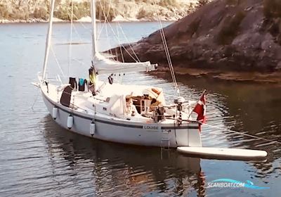 Kaskelot (NY Pris New Price 47.000 Euro) Sailing boat 1972, with Yanmar engine, Denmark