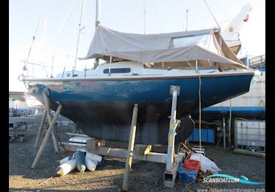 Robertsons of Woodbridge Wing 25 Sailing boat 1968, with Nanni 10 - New in 2010 engine, United Kingdom