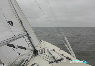 Schärenkreuzer Lotus 40 Sailing boat 1977, with Volvo Penta MD20-10B engine, Germany