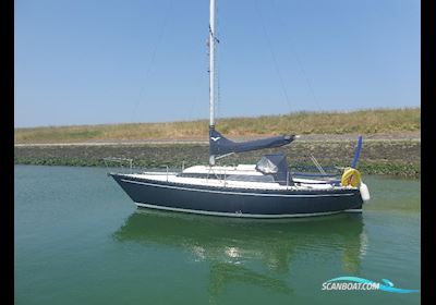 Standfast Loper 27 Sailing boat 1979, with Renault engine, The Netherlands
