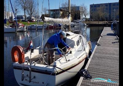 Westerly Cirrus 22 Sailing boat 1969, with Farymann engine, The Netherlands