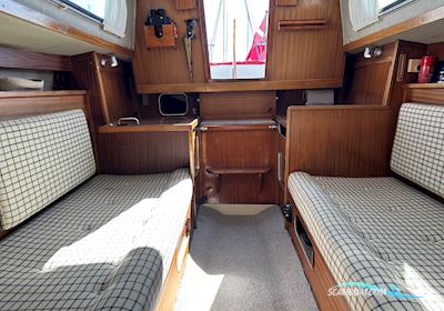 Albin Vega Sailingboat 1973, with Yanmar 1GM10 engine, Denmark