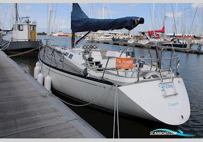 Baltic 39 Sailingboat 1980, with Volvo Penta MD17 engine, The Netherlands