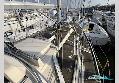 Bandholm 35 (1981) Sailingboat 1981, with Yanmar 3YM30C / SD20 engine, Denmark