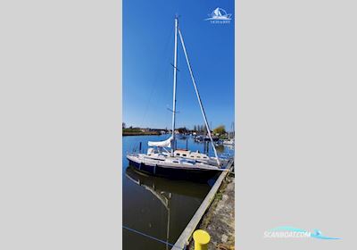 Barberis Show 34 Sailingboat 1976, with Nanni engine, Germany