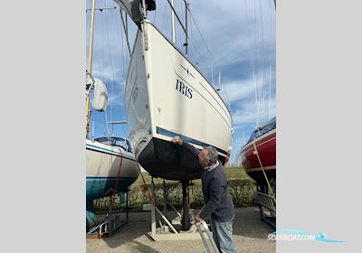 Bavaria 34 Cruiser Sailingboat 2009, with Volvo Penta engine, The Netherlands