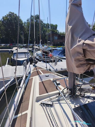Bavaria 890 Sailingboat 1980, with Volvo engine, The Netherlands