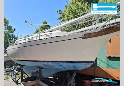 Bayfield 29 Sailingboat 1981, with Yanmar engine, The Netherlands