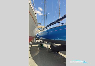 Black Pepper Code 0 Daysailer Sailingboat 2014, with Nanni engine, France