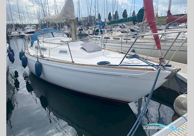 Camper & Nicholsons 31 Sailingboat 1977, with Yanmar D2QM20 engine, Belgium
