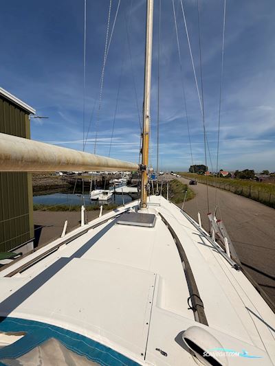 Camper & Nicholsons 31 Sailingboat 1977, with Yanmar D2QM20 engine, Belgium