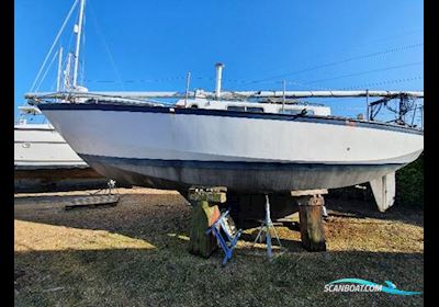 Classic Yacht Classic Kliever 11 Sailingboat 1980, with Petter engine, United Kingdom