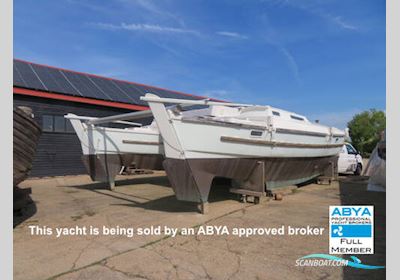 Classic Yacht Wharram Tiki 38 Sailingboat 2023, United Kingdom
