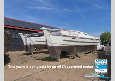 Classic Yacht Wharram Tiki 38 Sailingboat 2023, United Kingdom