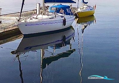 Comfortina 32 Sailingboat 1983, with Volvo Penta md7b engine, Denmark