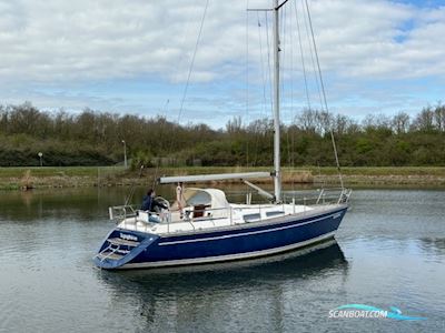 Comfortina 38 Sailingboat 1997, with Volvo Penta engine, The Netherlands