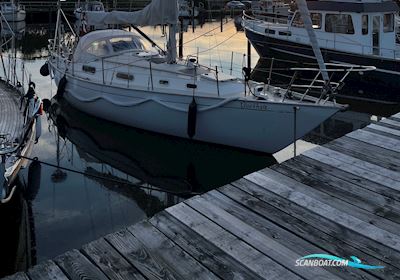 Contessa 32 Sailingboat 1975, with Yanmar engine, Denmark