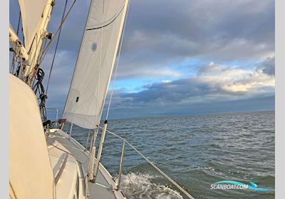 Contest 31 HT-AC Sailingboat 1975, The Netherlands