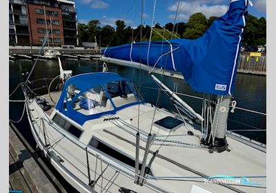 Contrast 370 - 1988 - Komplet opdateret Sailingboat 1988, with Yanmar 30YM 30 engine, Denmark