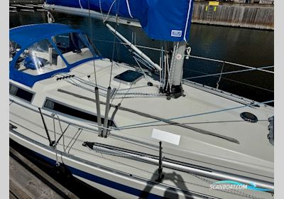 Contrast 370 - 1988 - Komplet opdateret Sailingboat 1988, with Yanmar 30YM 30 engine, Denmark