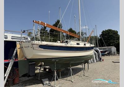 Cornish Crabber 24 MK V Sailingboat 2019, with Yanmar 2YM15 engine, United Kingdom