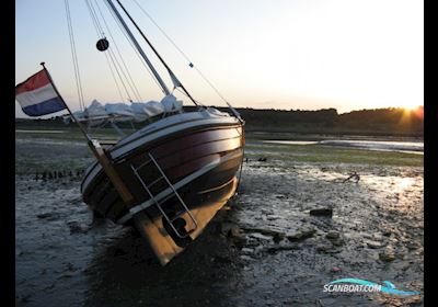 Damarin 21 Zeilsloep (Nieuw) Sailingboat 2025, with Vetus engine, The Netherlands