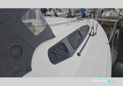 Dehler 29JV Sailingboat 2021, with Volvo Penta engine, The Netherlands