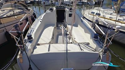 Dehler 33 Competition Sailingboat 1996, with Yanmar engine, The Netherlands