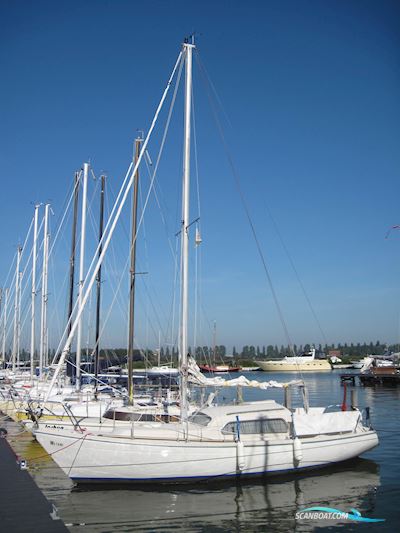 Dehler Optima 850 Sailingboat 1974, with Farymann engine, The Netherlands