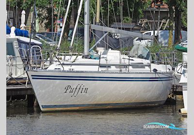 Granada 375 Sailingboat 1984, with Volvo Penta 2003 engine, The Netherlands