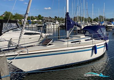 Granada 910 Sailingboat 1985, with Motor Yanmar 3YM20 3 Cylindre 21HK engine, Denmark