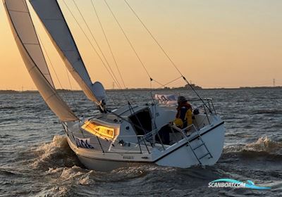 Granada Bonita 767 Sailingboat 1986, with Volvo Penta 2001 engine, The Netherlands