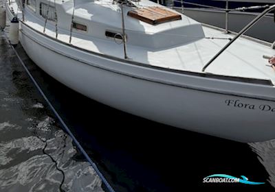 Great Dane 28 Sailingboat 1968, with Flora Dane engine, Denmark