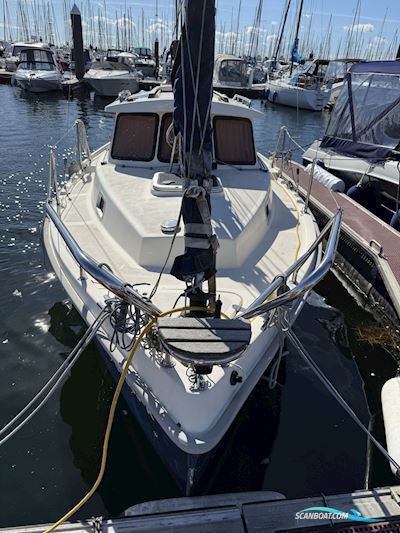 Haber 660 Gaffelslup Sailingboat 2013, with Vetus M2.06 engine, Germany