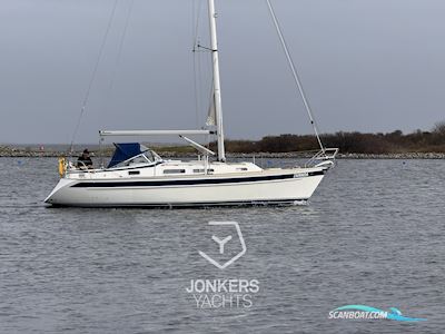 Hallberg Rassy 31 MKII Sailingboat 2006, with Volvo Penta D1-20 engine, The Netherlands