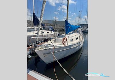 Hallberg Rassy 31 Monsun Sailingboat 1979, with Volvo Penta engine, The Netherlands