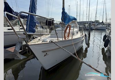 Hallberg Rassy 31 Monsun Sailingboat 1979, with Volvo Penta engine, The Netherlands