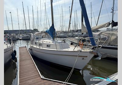 Hallberg Rassy 31 Monsun Sailingboat 1979, with Volvo Penta engine, The Netherlands