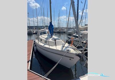 Hallberg Rassy 31 Monsun Sailingboat 1979, with Volvo Penta engine, The Netherlands