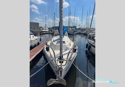 Hallberg Rassy 31 Monsun Sailingboat 1979, with Volvo Penta engine, The Netherlands