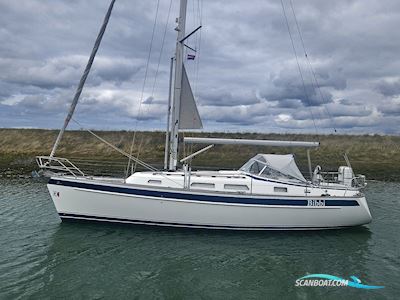 Hallberg Rassy 342 Sailingboat 2014, The Netherlands