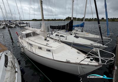 Hallberg-Rassy 35 Rasmus Sailingboat 1974, with Volvo Penta MD21 engine, Denmark