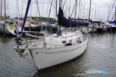 Hallberg Rassy 35 Sailingboat 1979, The Netherlands