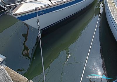 Hallberg Rassy HR29 Scandinavia Sailingboat 1984, with Volvo Penta 2002 engine, Denmark
