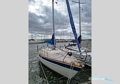 Hallberg Rassy HR312 Mk.1 - 1985 (ny Motor) - Nibe Sailingboat 1985, with Yanmar, 3YM30AE - 2019 engine, Denmark